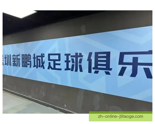 埃杜·加西亚在深圳新鹏城前场兼得分与串联双重作用 埃杜·加西亚在深圳新鹏城前场兼得分与串联双重作用